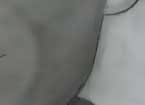 mpecci